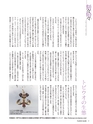 Fのさかな30号　飛魚（とびうお）　2014年　冬