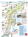 Fのさかな30号　飛魚（とびうお）　2014年　冬