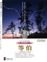 Fのさかな30号　飛魚（とびうお）　2014年　冬